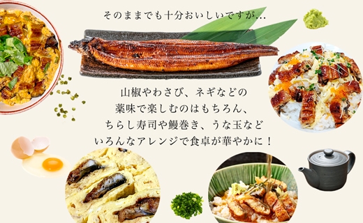大満足1kg　愛知県三河一色産　うなぎ蒲焼き（5尾～7尾）・U040-30