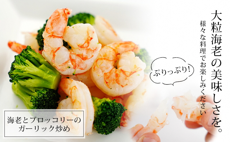 閭後o縺溷ヲ逅貂 螟ァ邊偵縺阪∴縺ウ 2.3kgシ1.15kg(邏50ス80蟆セ)テ3陲具シ峨サK172-18