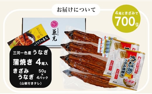 愛知県三河一色産うなぎ蒲焼き4尾+きざみうなぎ2食入り×2パック　セット(長焼き4尾で500g+きざみうなぎ(50g×2食)×2パック)・U024-21