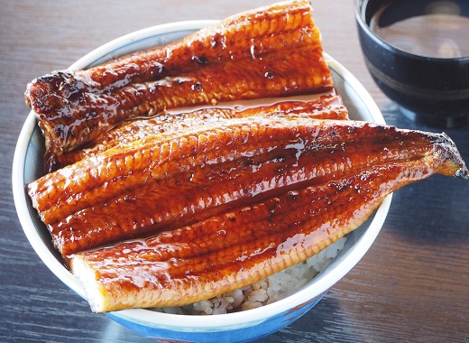 愛知県三河一色産うなぎ蒲焼き　超特大サイズ2尾(合計500g以上) 国産 愛知県産 西尾市産 西尾一色産 うなぎの兼光 鰻 ウナギ 蒲焼き 惣菜 総菜 タレ付き たれセット 海鮮 魚 丑の日 土用の丑の日 ・U039-19
