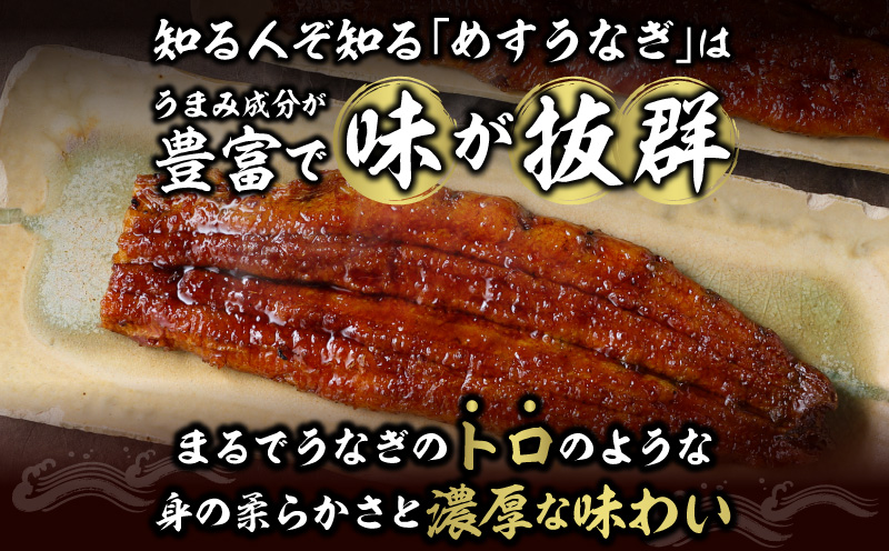 一色産めすうなぎ無頭長蒲焼2尾（300g）・I059-17
