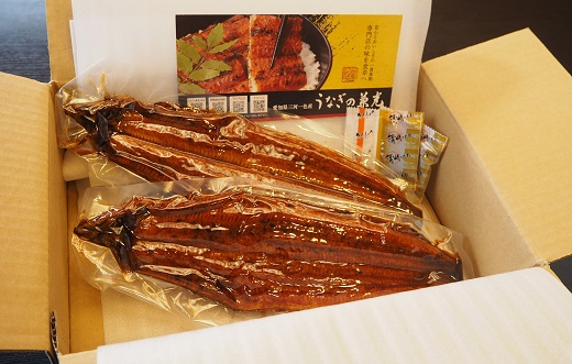 愛知県三河一色産うなぎ蒲焼き　超特大サイズ2尾(合計500g以上) 国産 愛知県産 西尾市産 西尾一色産 うなぎの兼光 鰻 ウナギ 蒲焼き 惣菜 総菜 タレ付き たれセット 海鮮 魚 丑の日 土用の丑の日 ・U039-19