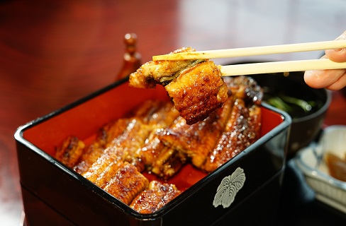 三河一色産　うなぎ手焼き【蒲焼パック4尾(1尾150g〜180g)】・U035-480