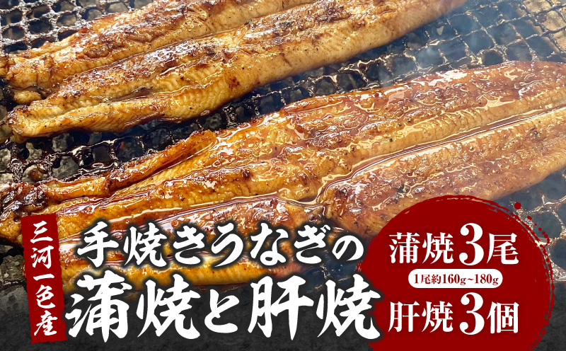 三河一色産手焼きうなぎの蒲焼と肝焼【蒲焼パック冷凍×3尾、肝焼×3個】・M099-310