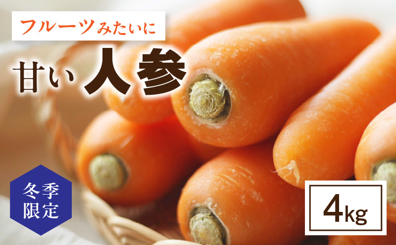 《2027年1月～発送》【冬季限定】フルーツみたいに甘い人参4kg・S069-080