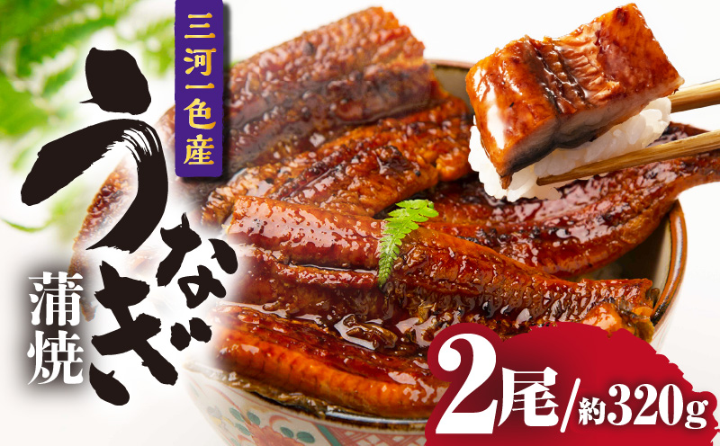 三河一色産うなぎ蒲焼 2尾（約320g）・O066-220