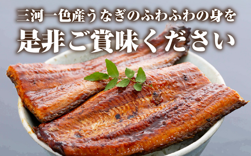 三河一色産うなぎ蒲焼 3尾(約480g)・O067-330