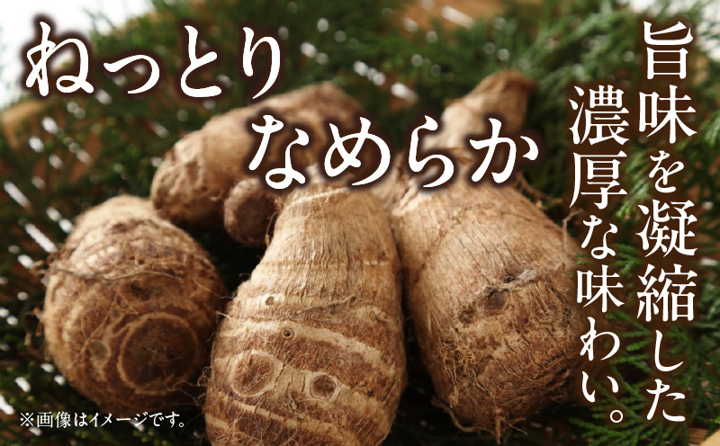 çµ¶åéèãïœå€©æŽãïœã6kgã»S068-170