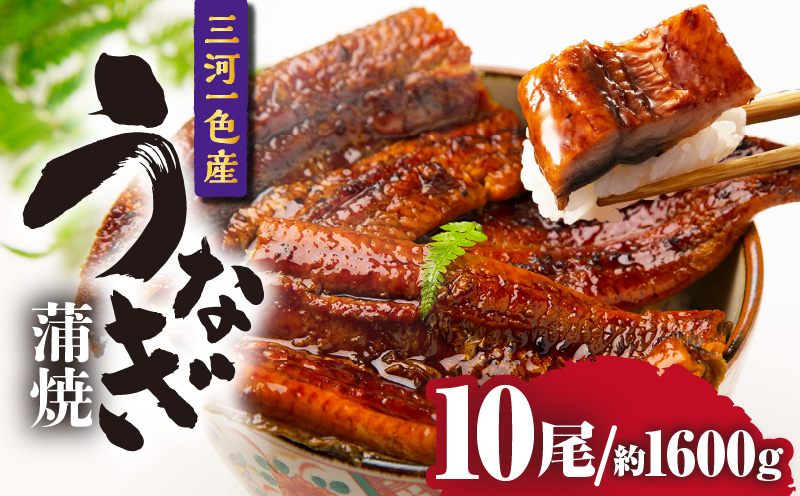 三河一色産うなぎ蒲焼 10尾(約1600g)・O072-990