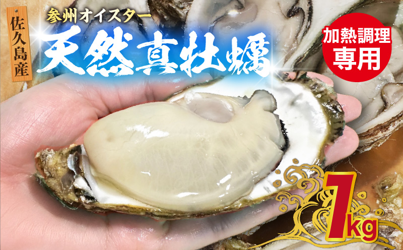 佐久島産天然真牡蠣 参州オイスター 1kg ≪配達不可エリア：北海道・沖縄・離島・東北・九州≫・E029-145