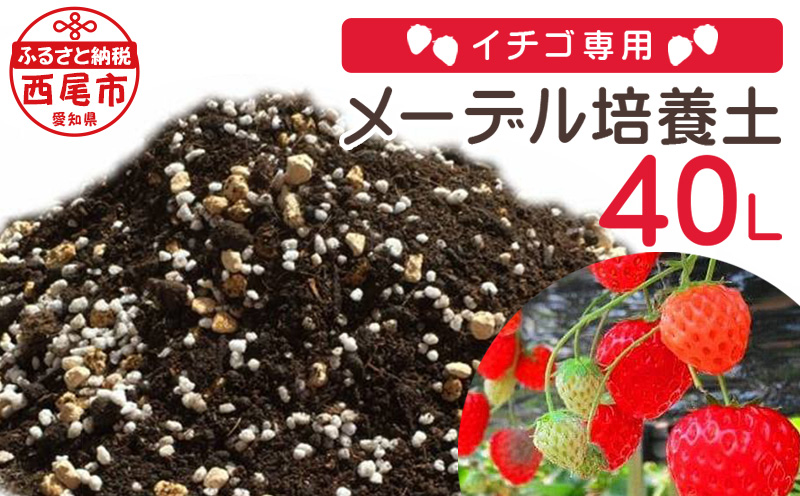 イチゴ専用メーデル培養土40Ｌ（20L×2袋）・A015-155