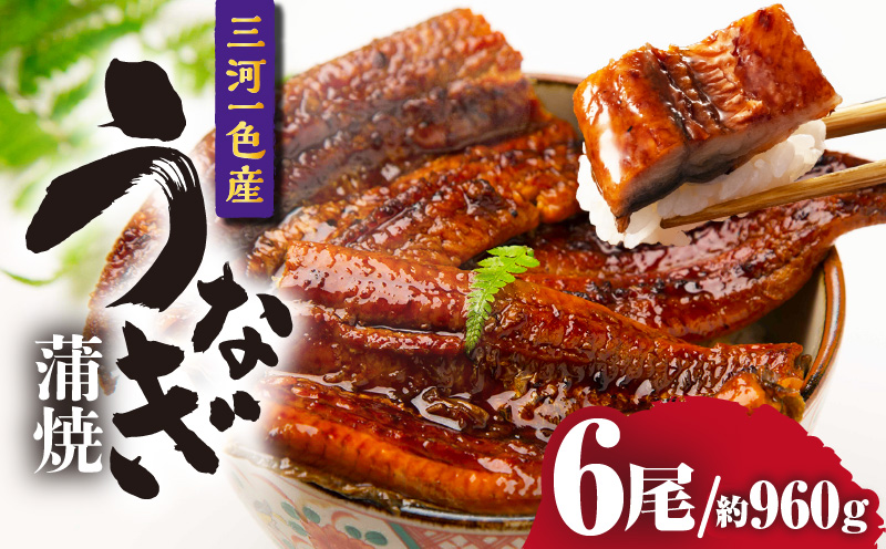 三河一色産うなぎ蒲焼 6尾（約960g）・O070-610