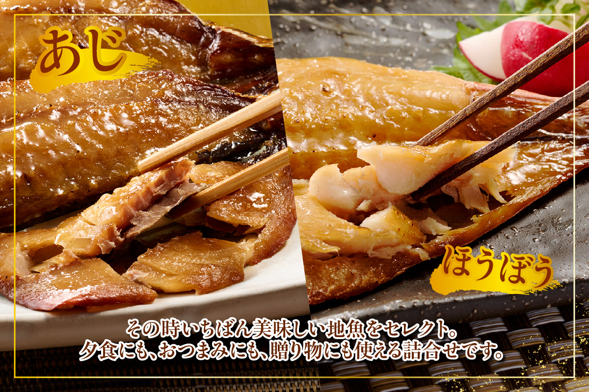 西尾の地魚　干物セット・K015-145