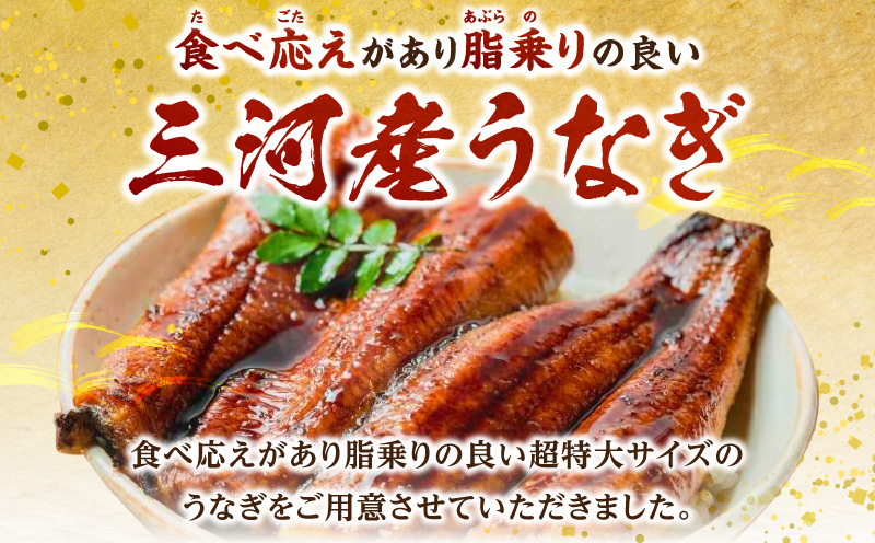 【定期便】三河産うなぎ「超特大蒲焼き3尾(合計580〜600g)」×6回(隔月1回 1年間)・A192-1740