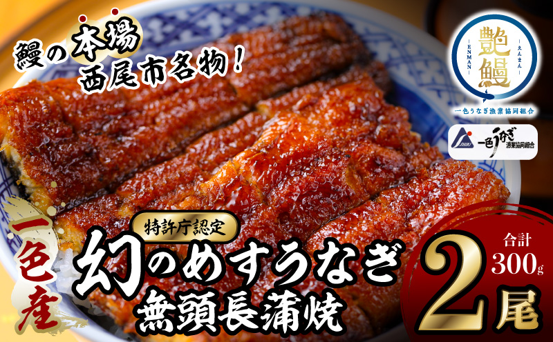 三河一色産 めすうなぎ 無頭 長蒲焼 2尾（300g） 国産 鰻 蒲焼 愛知・I059-190
