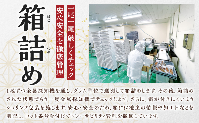 三河一色産うなぎ蒲焼　大サイズ3尾　無頭(1尾約155g)・M116-280