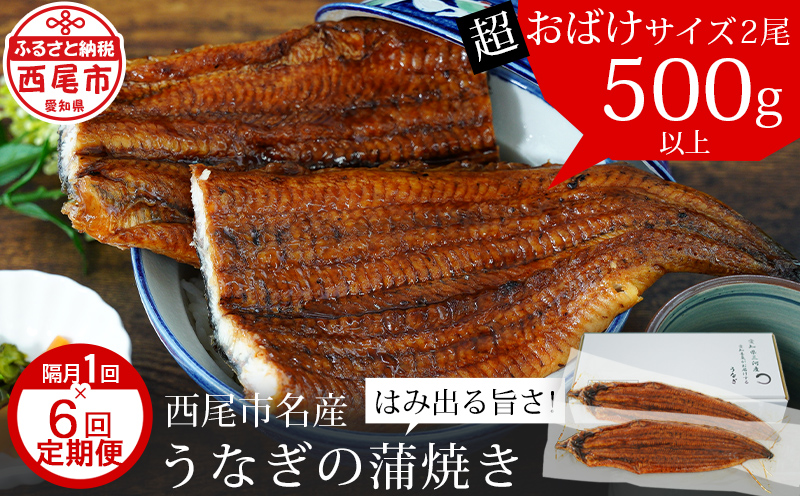 【定期便】三河産うなぎ 蒲焼《超おばけサイズ》2尾（計500g以上）×6回（隔月） 国産 鰻 愛知 特大・A134-1380