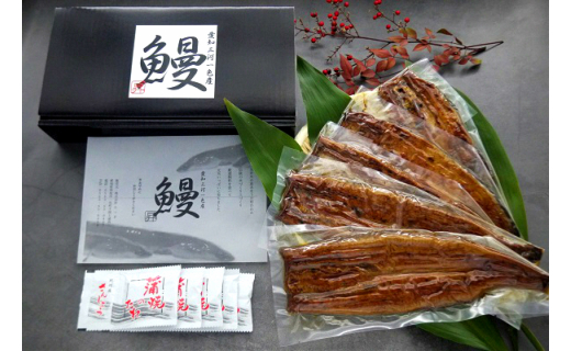 一色産うなぎ蒲焼 無頭(4〜6尾　合計600g以上)・T055-320
