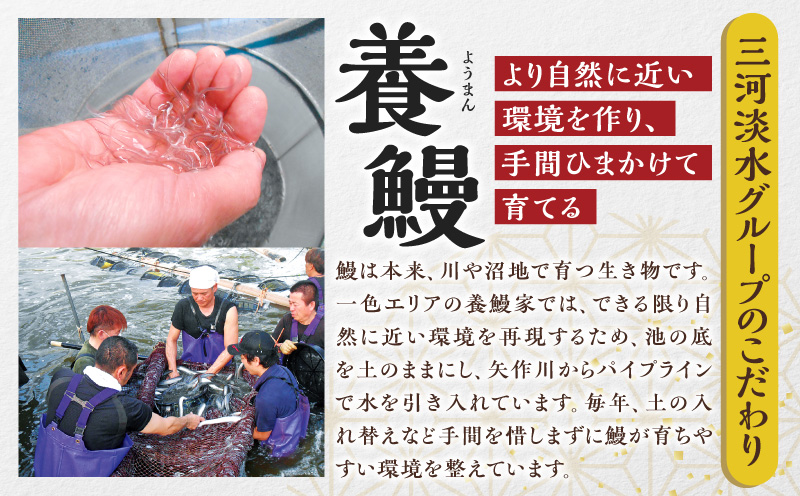 三河一色産うなぎ蒲焼　大サイズ3尾　無頭(1尾約155g)・M116-280