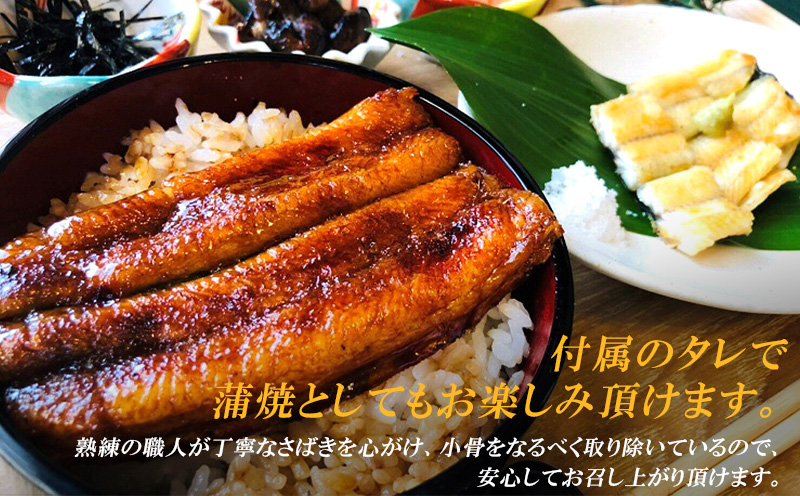 三河一色産 こだわりの手焼き白焼きうなぎ（4尾・冷凍） 国産 鰻 白焼・H002-290