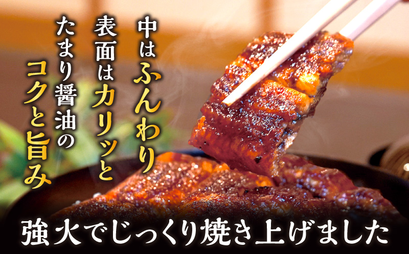 三河一色産うなぎ蒲焼　大サイズ3尾　無頭(1尾約155g)・M116-280