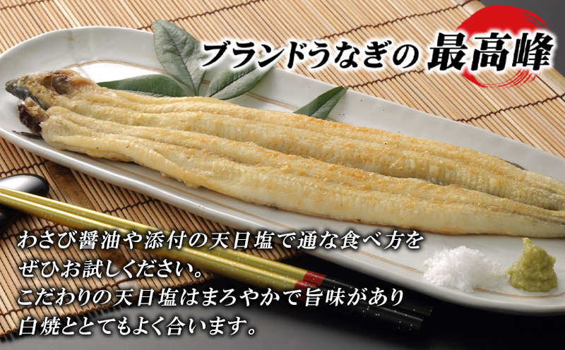 三河一色産 こだわりの手焼き白焼きうなぎ（4尾・冷凍） 国産 鰻 白焼・H002-290