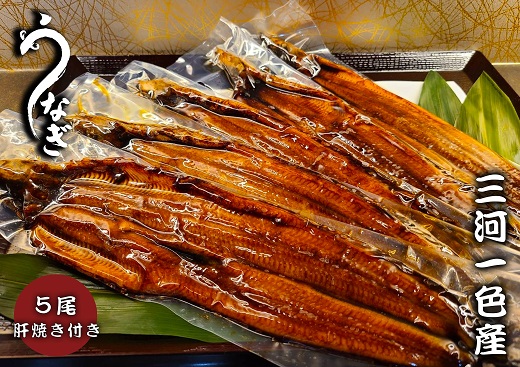 三河一色うなぎ蒲焼5尾(合計800g以上)鰻肝付き・F012-400