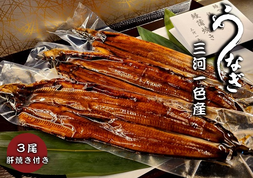 三河一色うなぎ蒲焼3尾(合計480g以上)鰻肝付き・F011-260