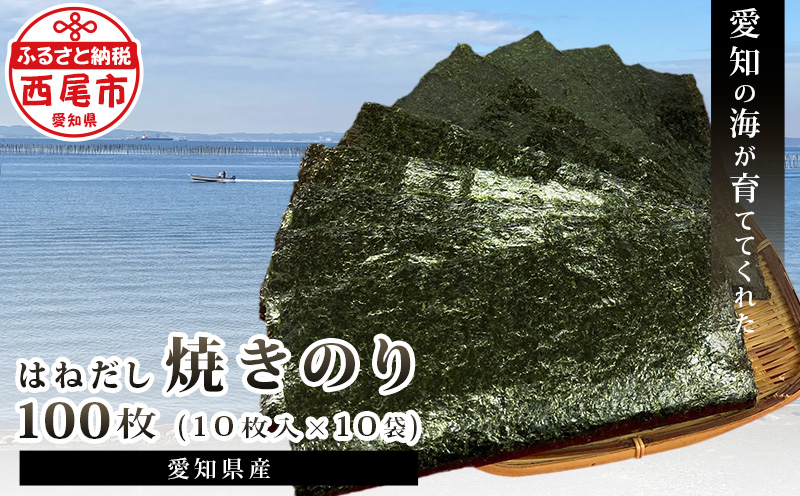 【訳あり】愛知の海が育ててくれた はねだし焼きのり 100枚・M067-200