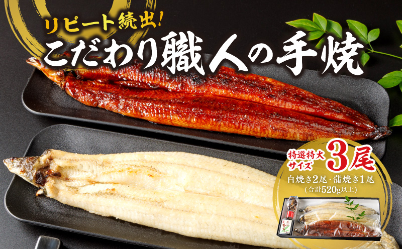 リピート続出！特選特大サイズ520g以上 こだわり職人の手焼(蒲焼1尾・白焼2尾)・Y067-250