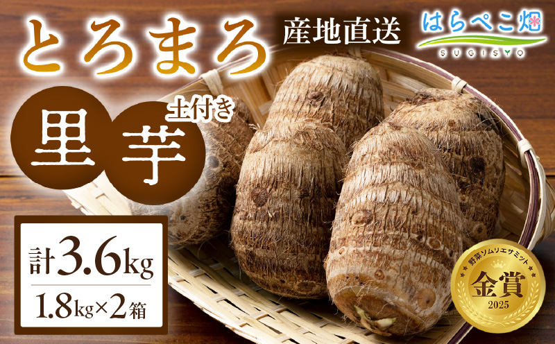 【粘りと甘みが段違い】里芋『とろまろ』土付き・1.8kg 2箱・H119-180