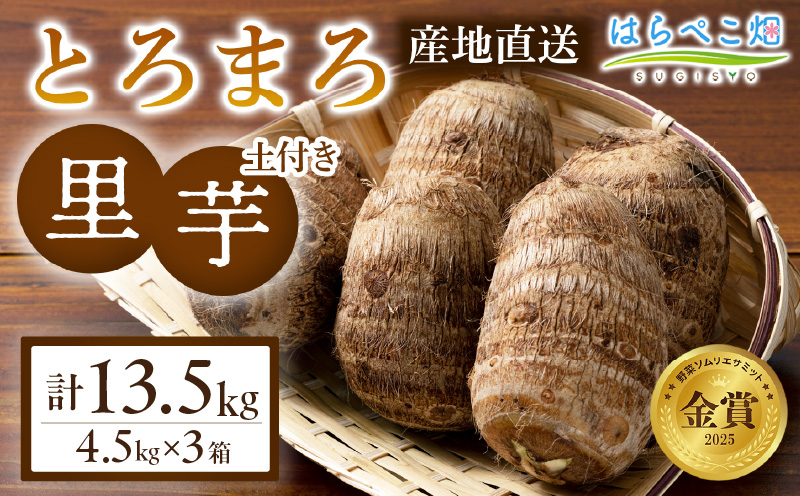 【粘りと甘みが段違い】里芋『とろまろ』土付き 4.5kg 3箱・H122-600