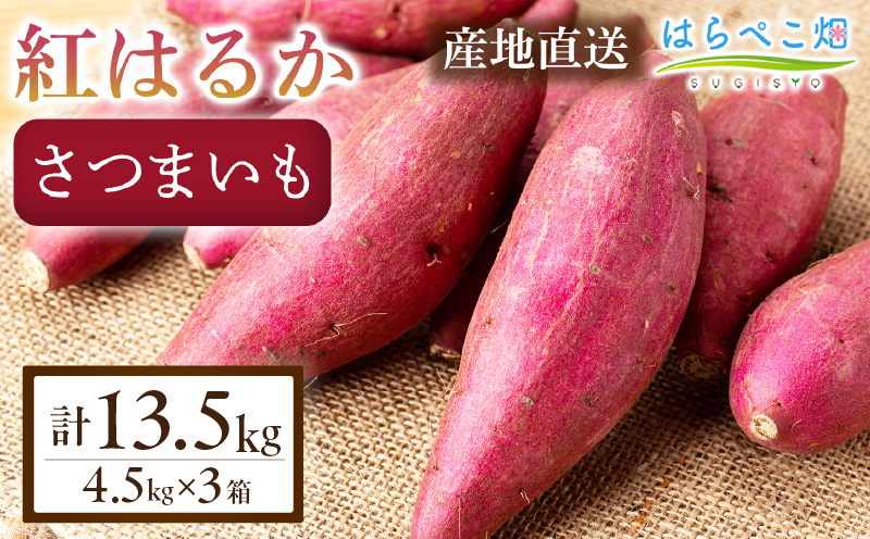 【ねっとり甘い蜜芋】さつまいも 紅はるか（4.5kg×3箱）合計13.5kg・H104-380