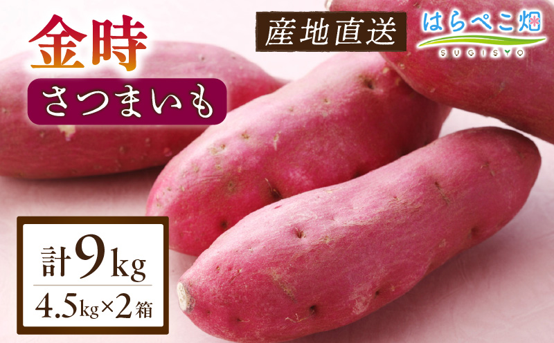 【ホックホク食感の優しい甘み】さつまいも金時 4.5kg 2箱・H117-270