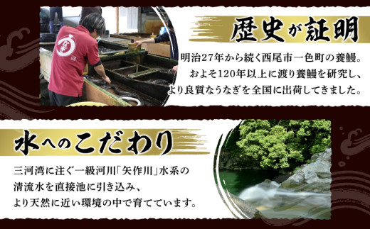 【定期便】一色産うなぎ 無頭 長蒲焼4尾(640g)×3回・I062-840