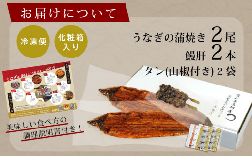 三河産うなぎ 蒲焼 2尾（合計300g）＋鰻肝 2本付《冷凍便》・A114-190