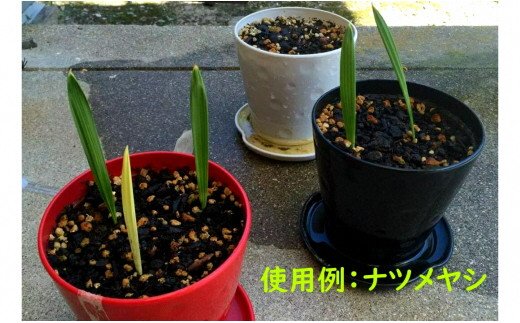 繝。繝シ繝繝ォ蝓ケ鬢雁悄14Lテ4陲九サA017-19