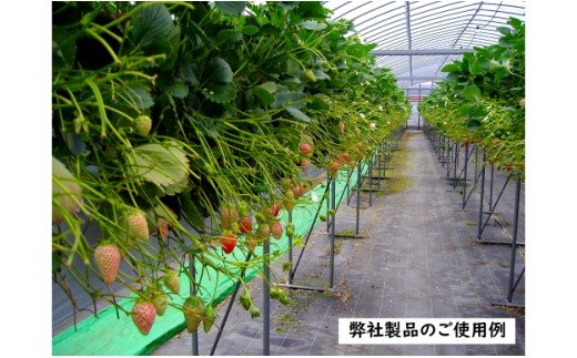 繝。繝シ繝繝ォ蝓ケ鬢雁悄14Lテ4陲九サA017-19