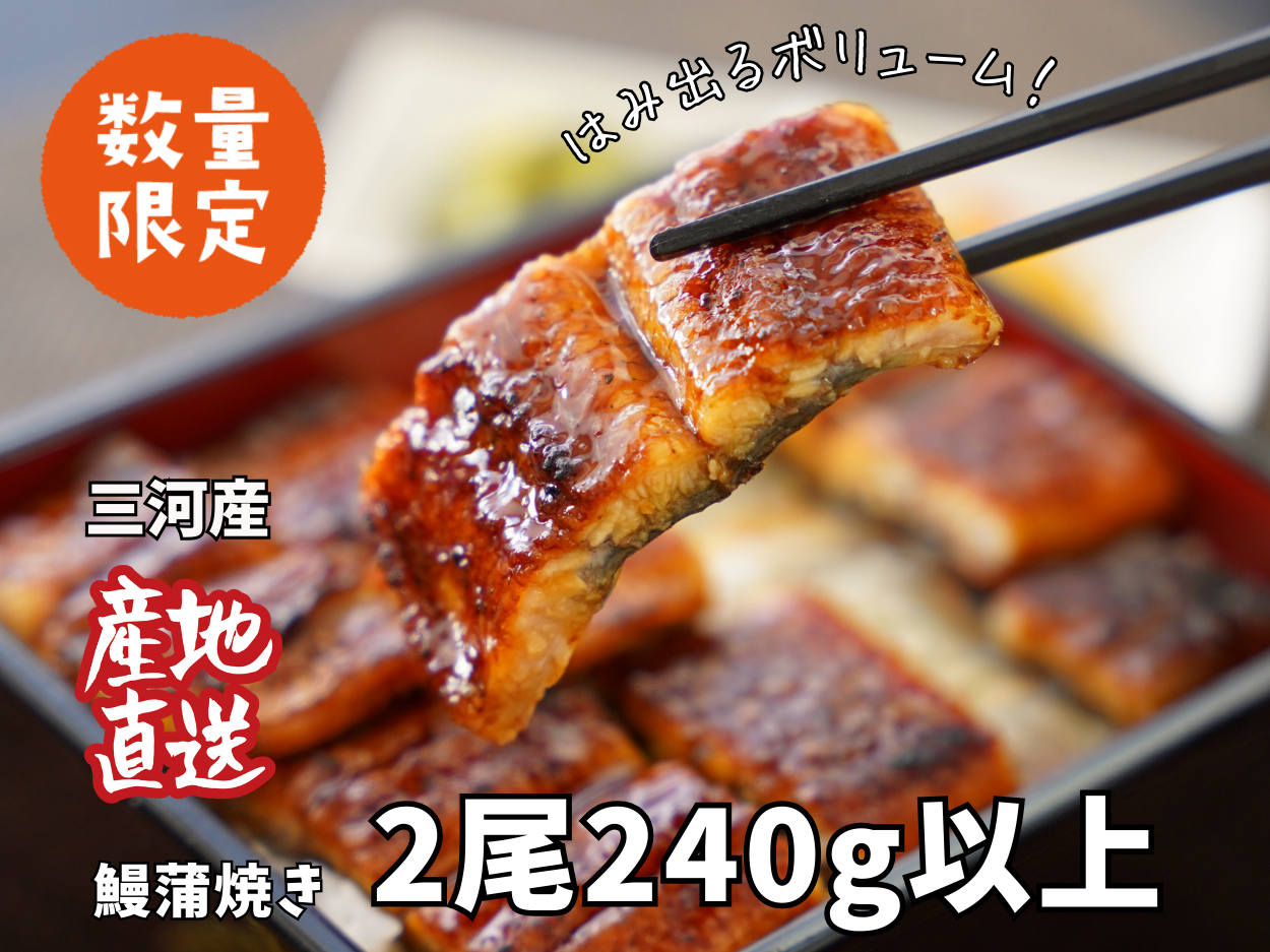 三河産うなぎ 蒲焼 《2尾（計240～250g）》「生産者愛知養魚｣がお届け・A092-12