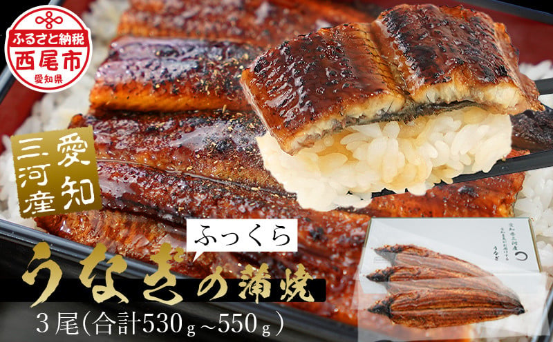 三河産うなぎ特大サイズ蒲焼×3尾(530g〜550g) 鰻 ウナギ うなぎ 蒲焼 国産 うなぎ蒲焼 タレ付き たれ 国産うなぎ 蒲焼き うな丼 丑の日 土用の丑の日・A087-25