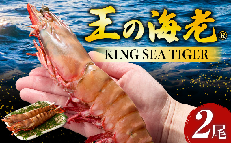 〈高級〉KING SEA TIGER 王の海老2尾・K305-12