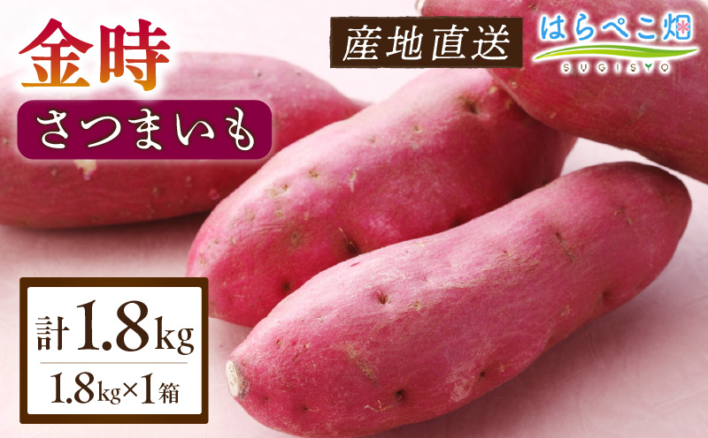 【ホックホク食感の優しい甘み】さつまいも金時 1.8kg 1箱・H060