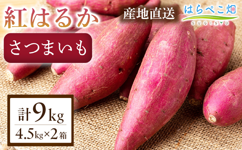 【ねっとり甘い蜜芋】さつまいも 紅はるか（4.5kg×2箱）合計9kg・H103