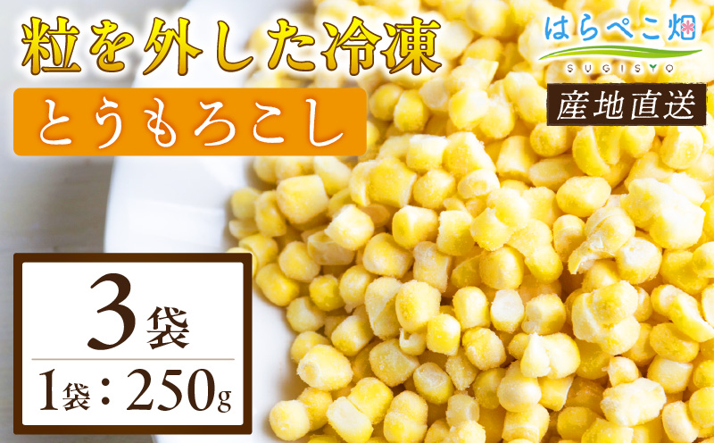 粒を外した冷凍とうもろこし（250g×3袋）・H092