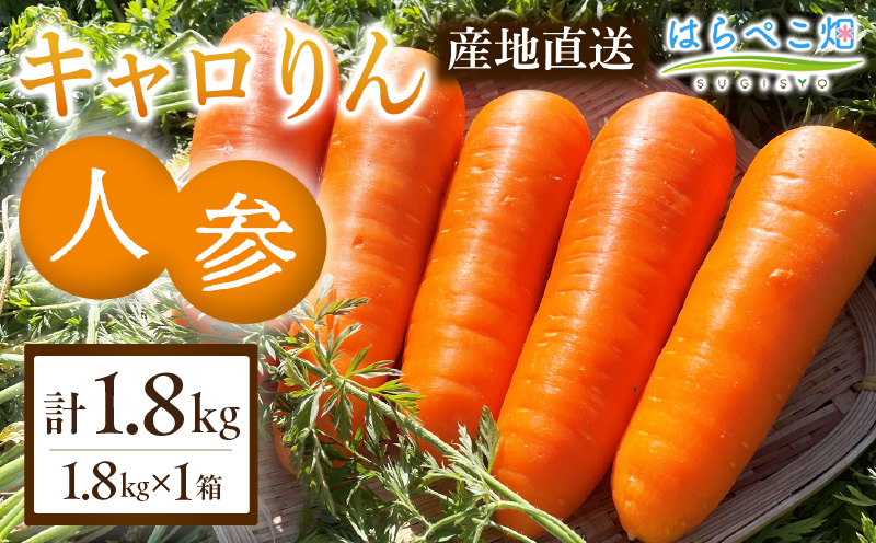 人参『キャロりん』（1.8kg×1箱）・H105