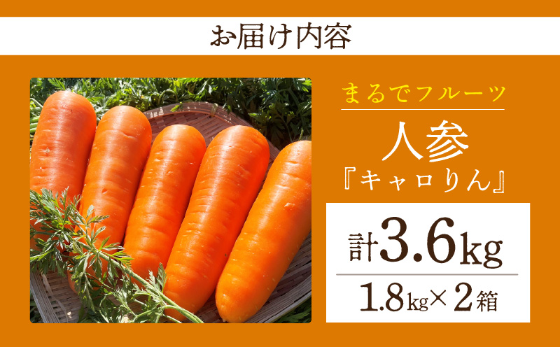 莠コ蜿ゅ弱く繝」繝ュ繧翫s縲擾シ1.8kgテ2邂アシ牙粋險3.6kg繝サH106