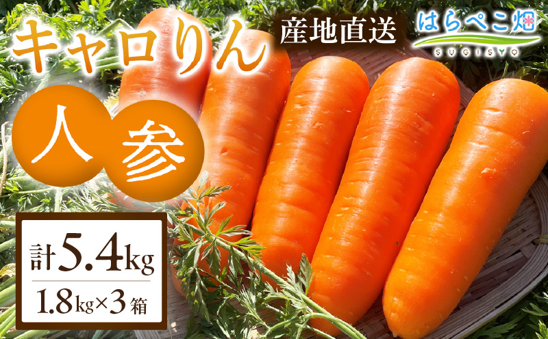 人参『キャロりん』（1.8kg×3箱）合計5.4kg・H107