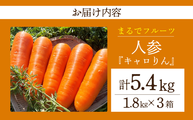  人参『キャロりん』（1.8kg×3箱）合計5.4kg・H107