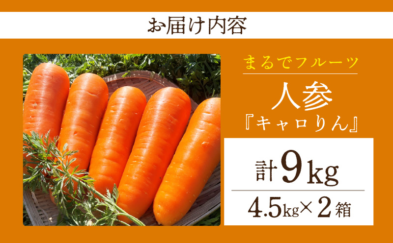 人参『キャロりん』（4.5kg×2箱）合計9kg・H109