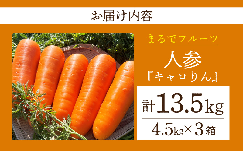 人参『キャロりん』（4.5kg×3箱）合計13.5kg・H110